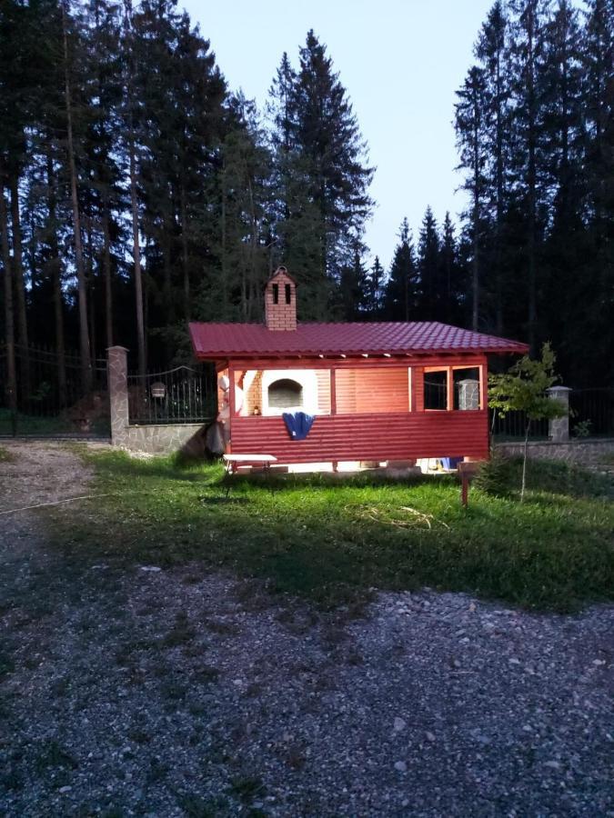 Casa De Vacanta Pârâul Rece Bagian luar foto