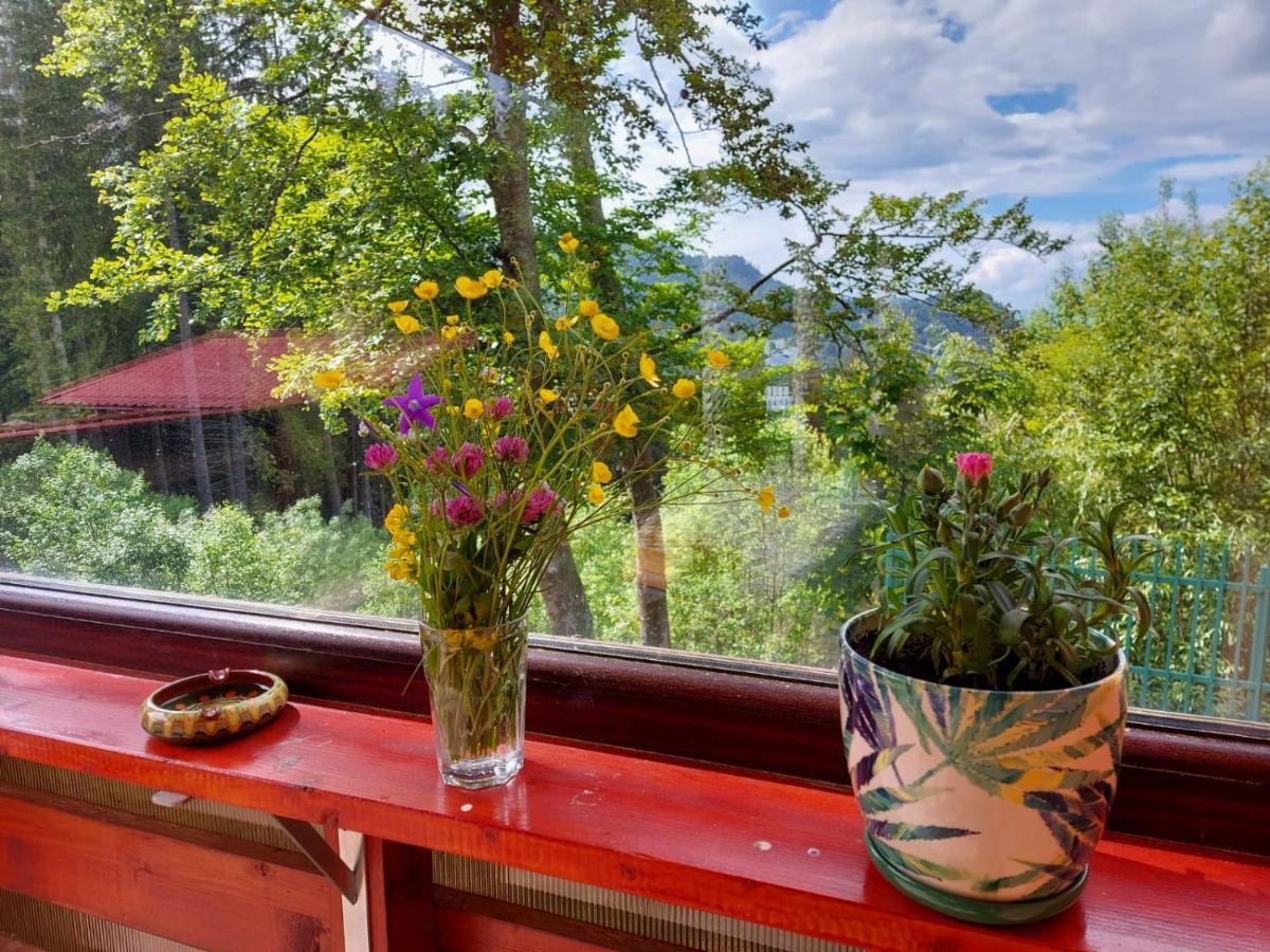 Casa De Vacanta Pârâul Rece Bagian luar foto