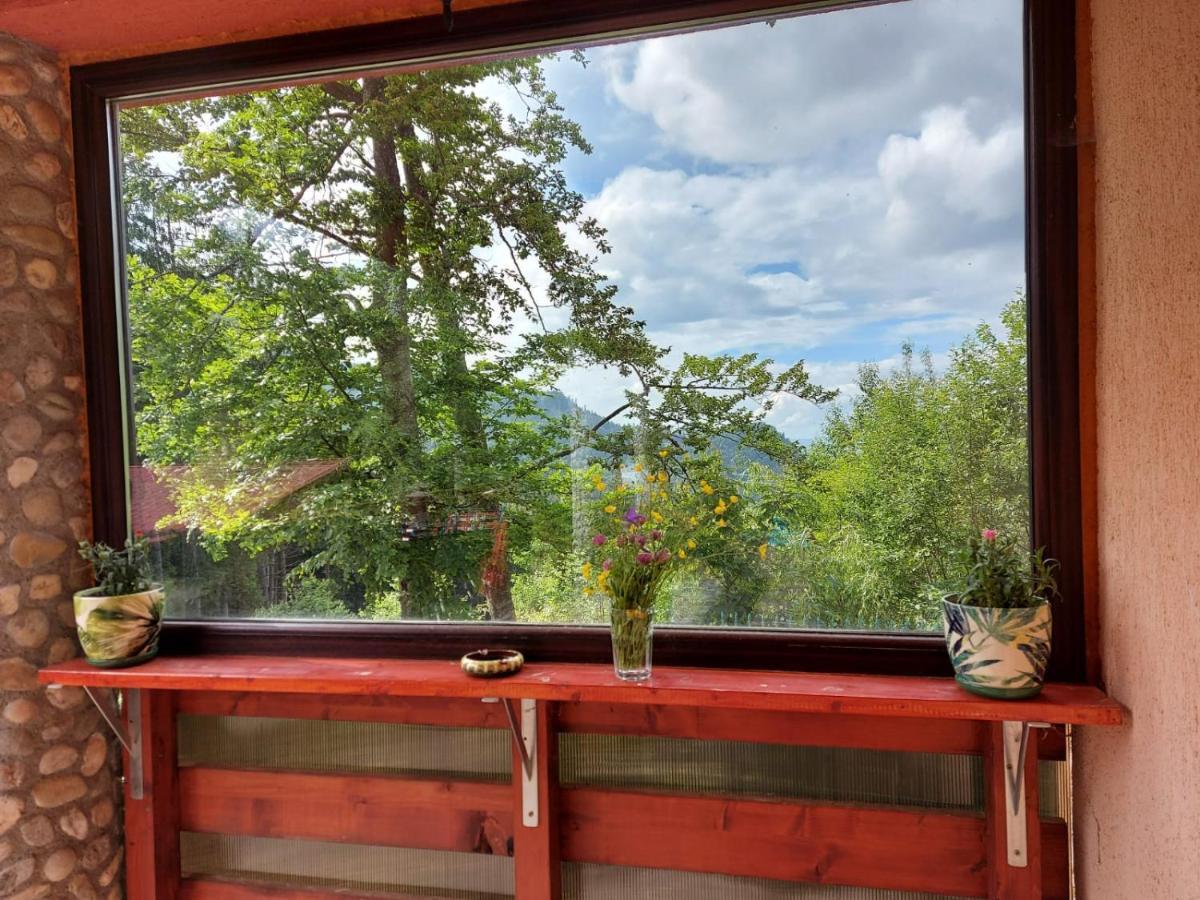 Casa De Vacanta Pârâul Rece Bagian luar foto