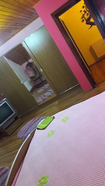 Casa De Vacanta Pârâul Rece Bagian luar foto