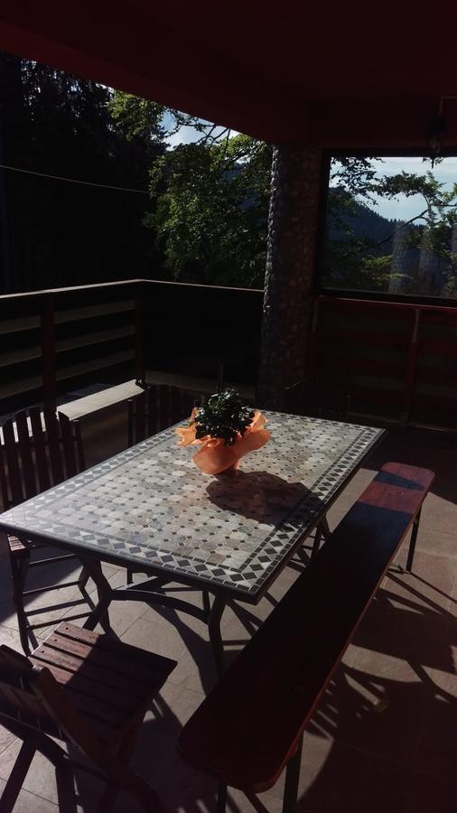 Casa De Vacanta Pârâul Rece Bagian luar foto