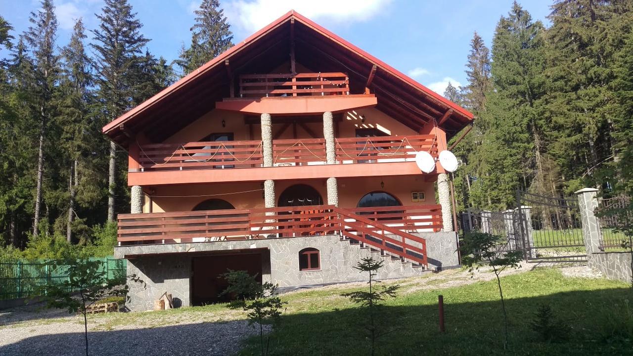 Casa De Vacanta Pârâul Rece Bagian luar foto