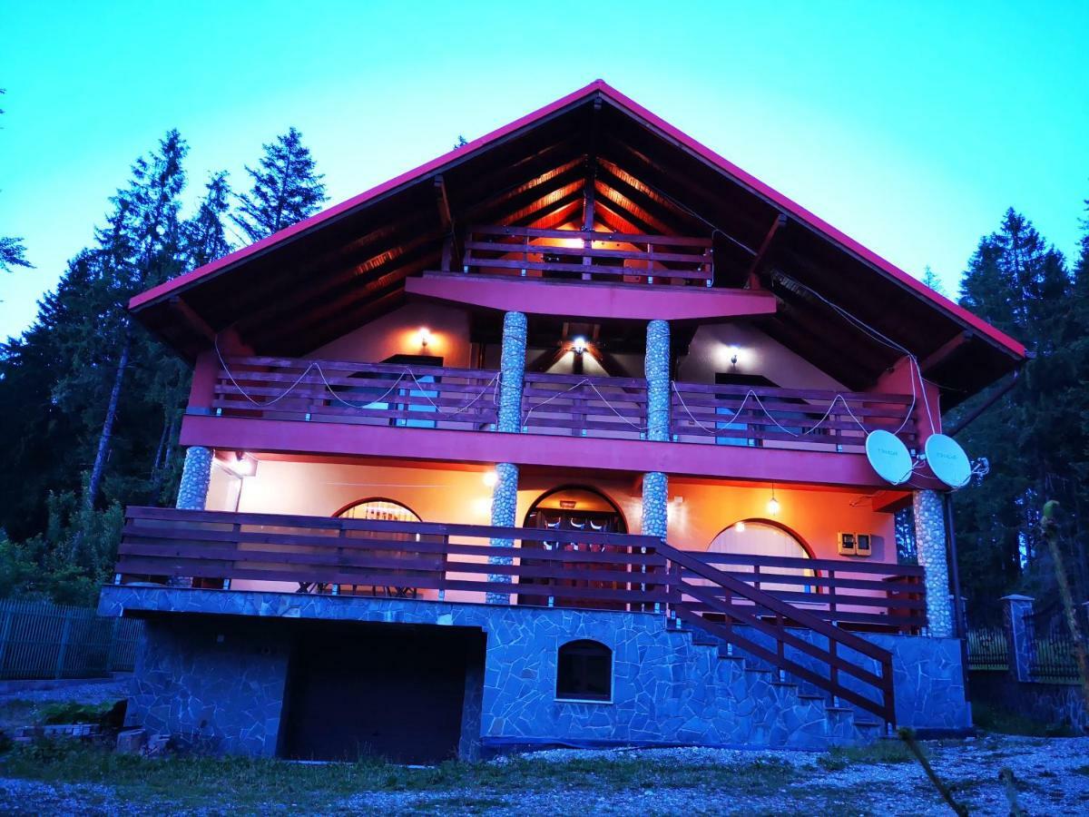 Casa De Vacanta Pârâul Rece Bagian luar foto